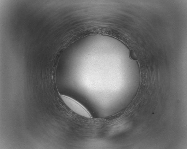 X0000069801013200605190904