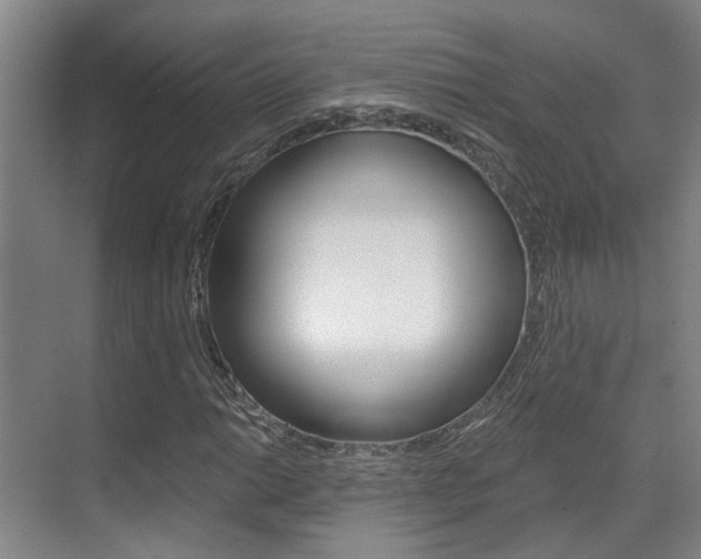 X0000069801014200605190904