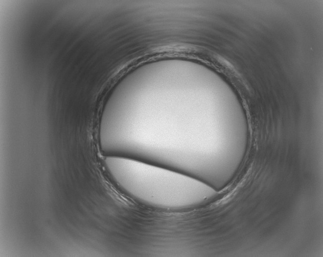 X0000069801017200605190904