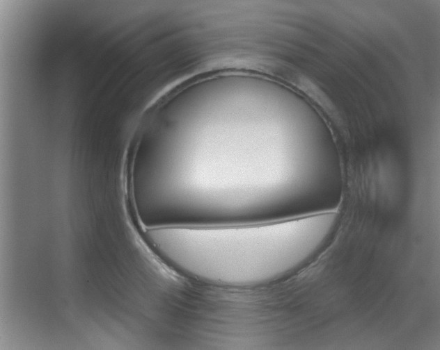 X0000069801028200605190904