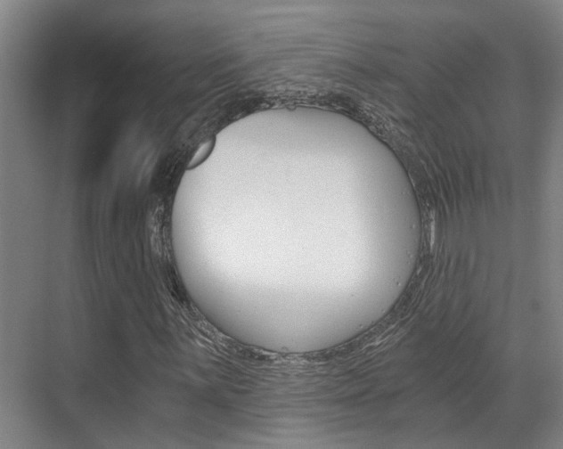 X0000069801059200605190904