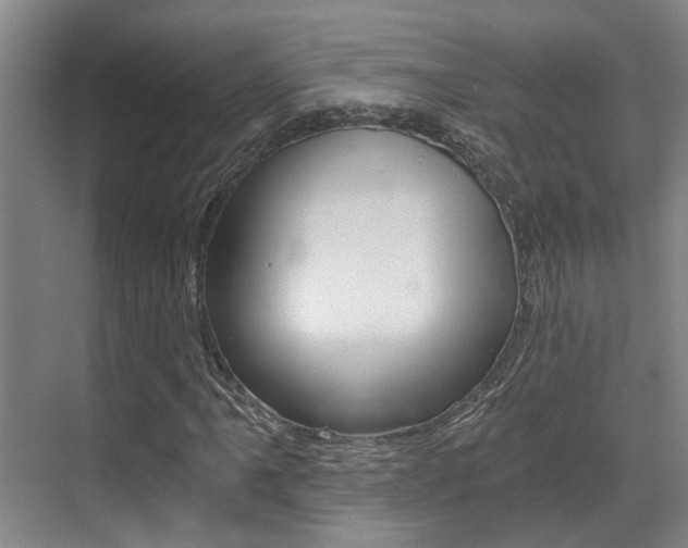 X0000069801061200605190904