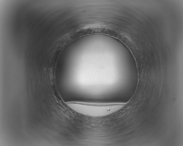 X0000069801062200605190904