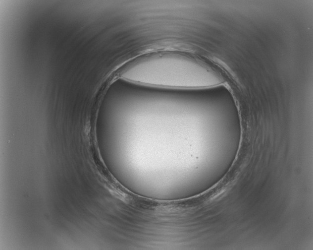 X0000069801065200605190903