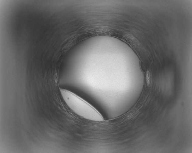 X0000069801107200605190902