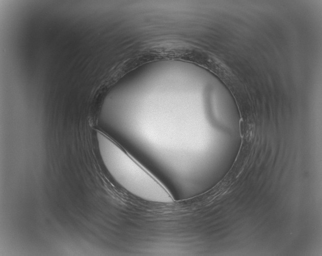 X0000069801108200605190902
