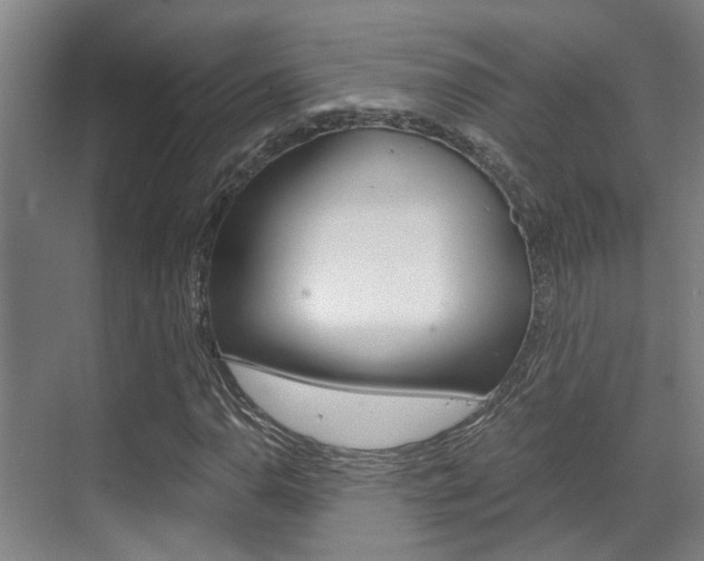 X0000069801110200605190902