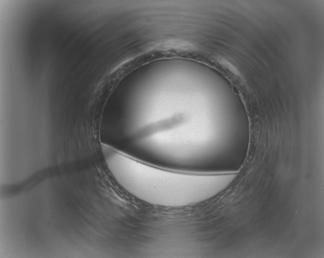 X0000069801112200605190902