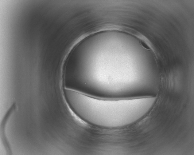 X0000069801143200605190903