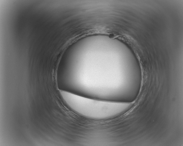 X0000069801161200605190902