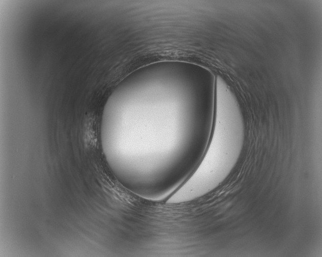 X0000069801202200605190900
