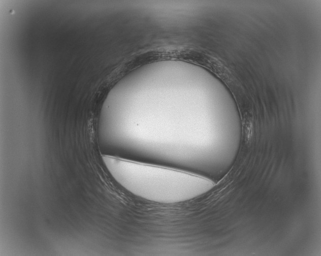 X0000069801204200605190900