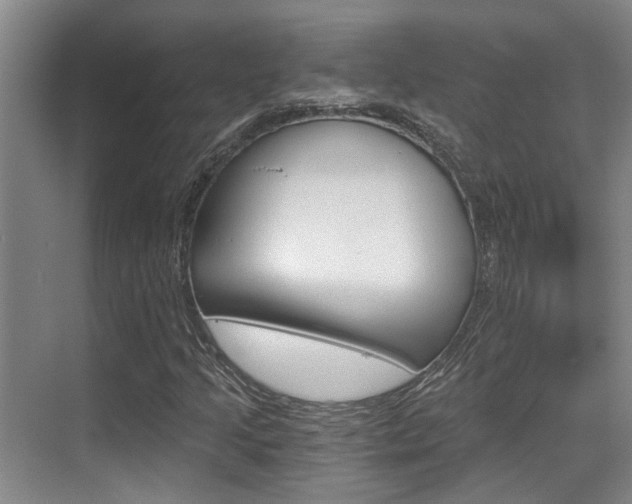 X0000069801205200605190900