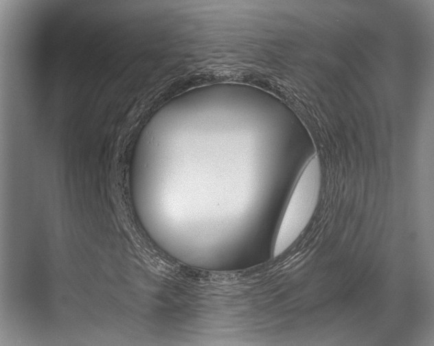 X0000069801249200605190900