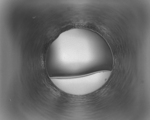 X0000069801252200605190900