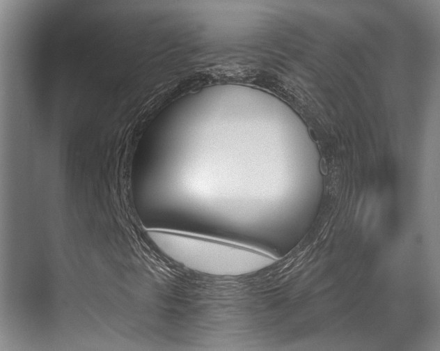 X0000069801297200605190859