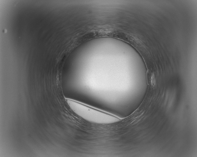 X0000069801299200605190859