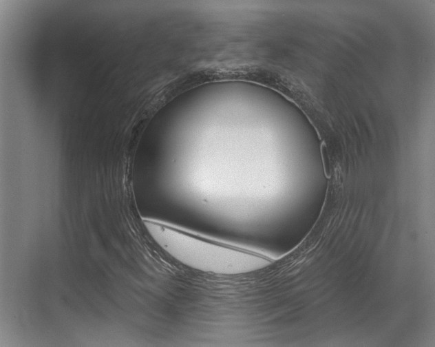X0000069801300200605190859