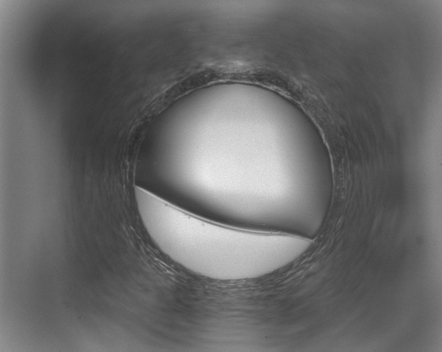 X0000069801301200605190859