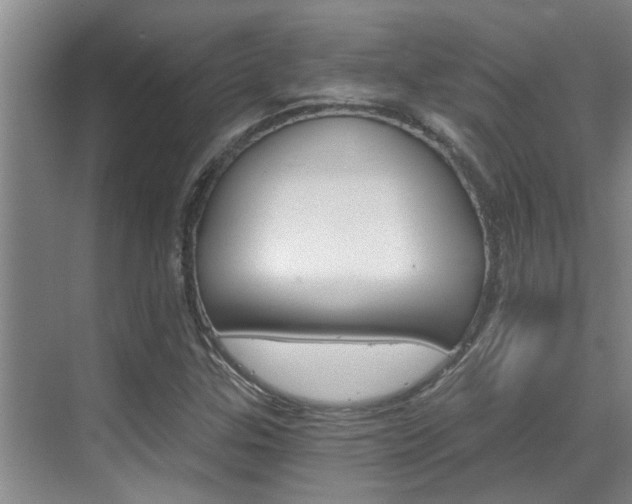 X0000069801307200605190859