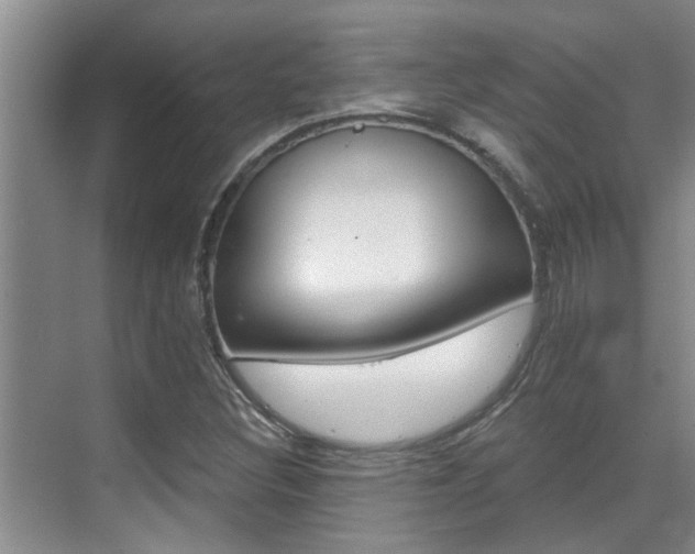 X0000069801308200605190859