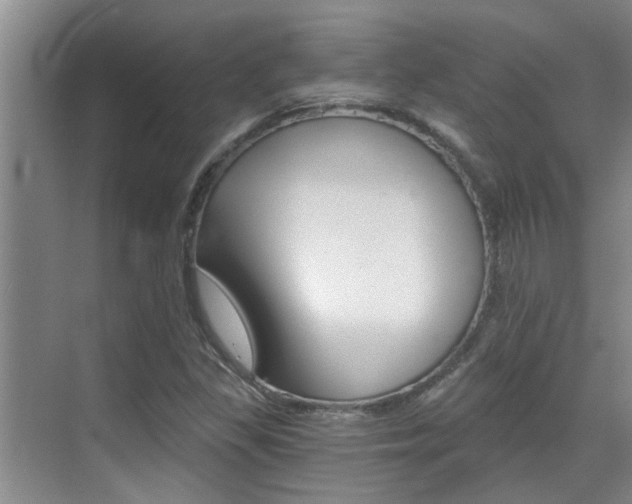 X0000069801309200605190859