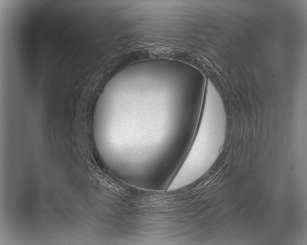 X0000069801345200605190859