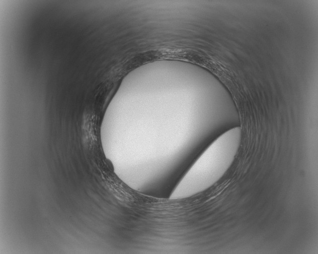 X0000069801346200605190859