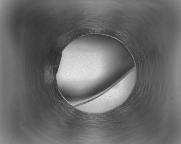 X0000069801347200605190859
