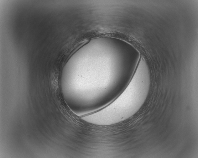X0000069801348200605190859