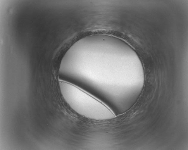 X0000069801351200605190859