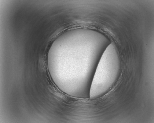 X0000069801354200605190859