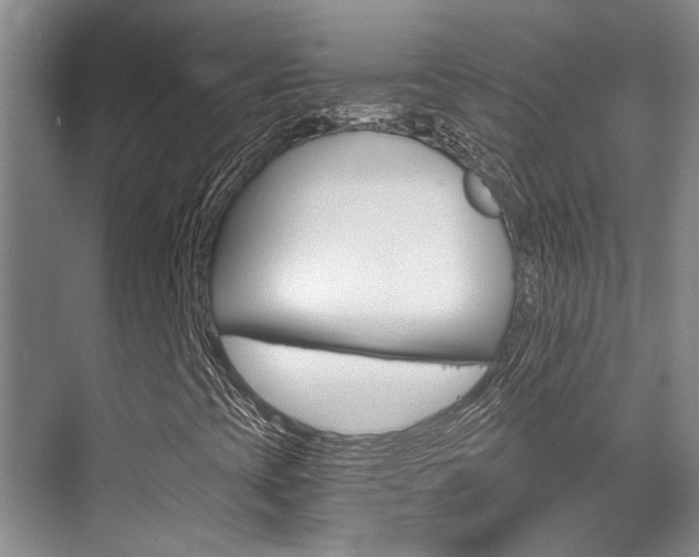 X0000069801393200605190857