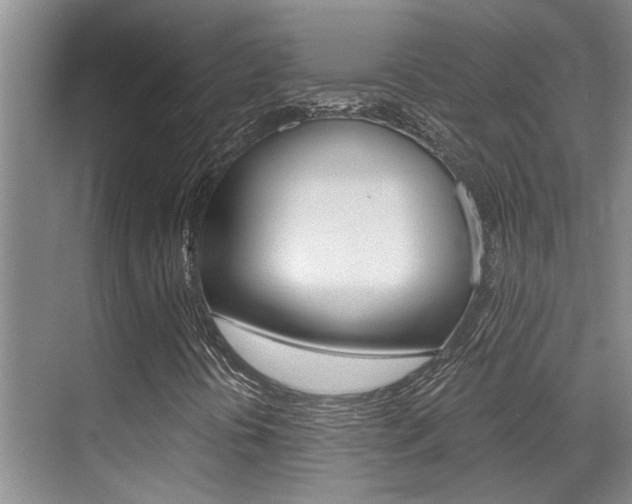 X0000069801394200605190857