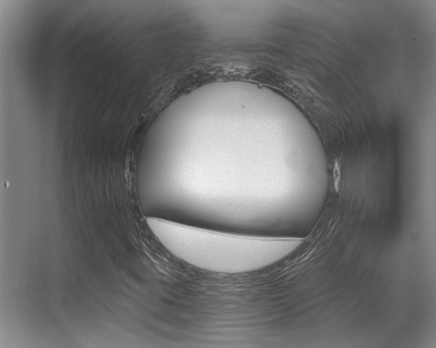 X0000069801395200605190857