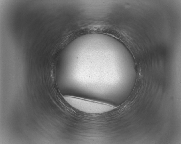 X0000069801396200605190857