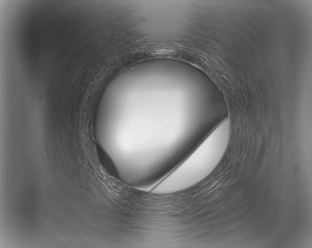 X0000069801441200605190857