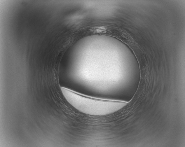 X0000069801442200605190857