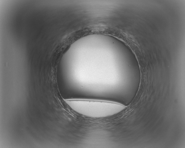 X0000069801445200605190857