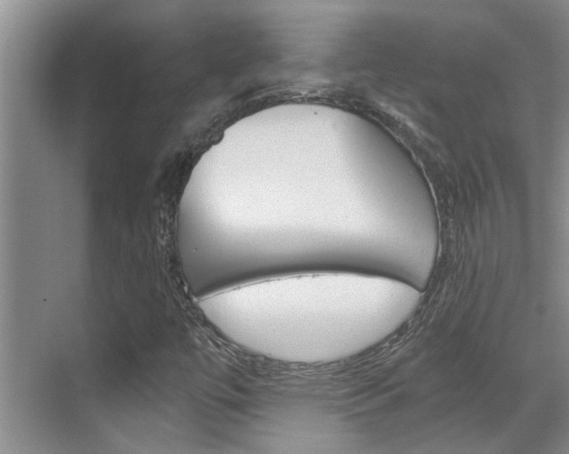 X0000069801447200605190857