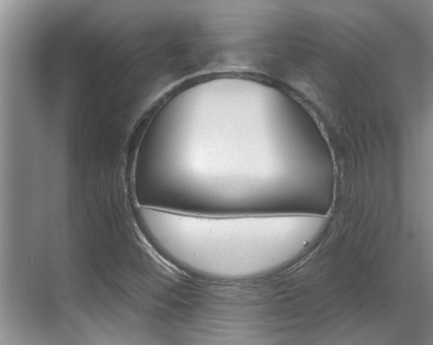 X0000069801452200605190857
