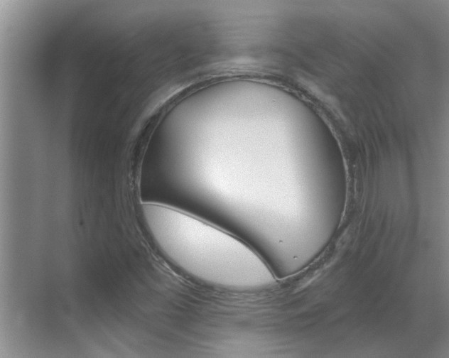 X0000069801453200605190857