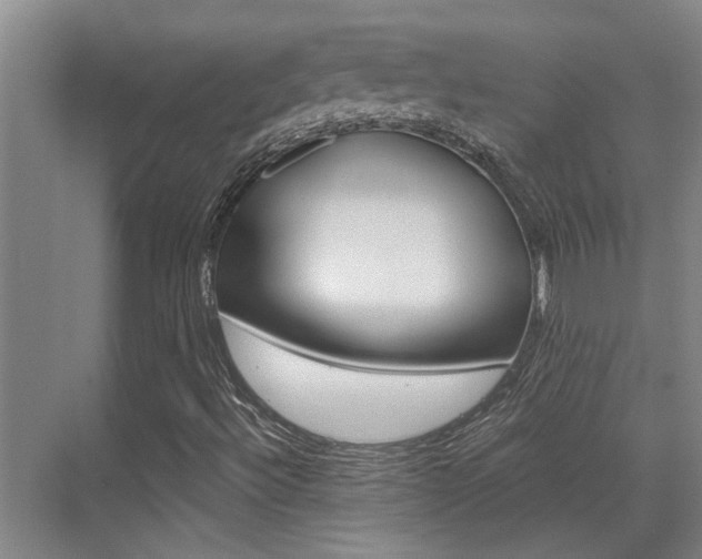 X0000069801492200605190856