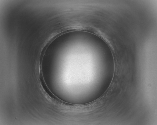 X0000069800011200605191116