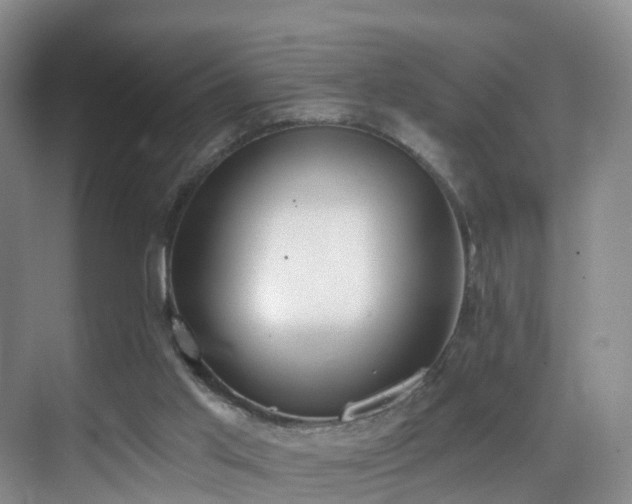 X0000069800013200605191116