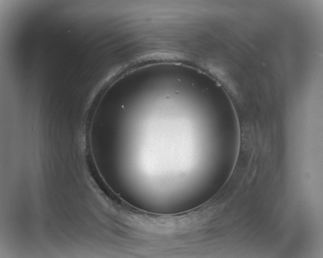 X0000069800015200605191116