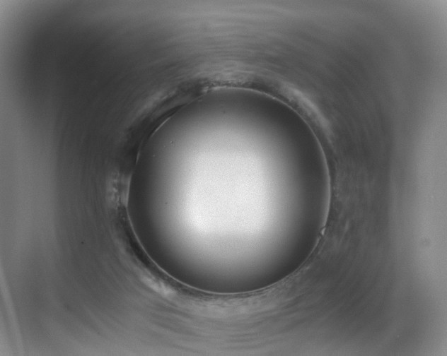 X0000069800017200605191116