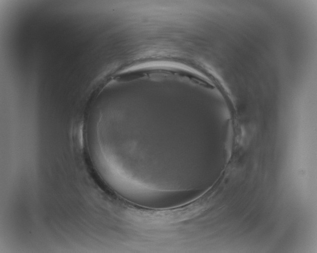 X0000069800019200605191116