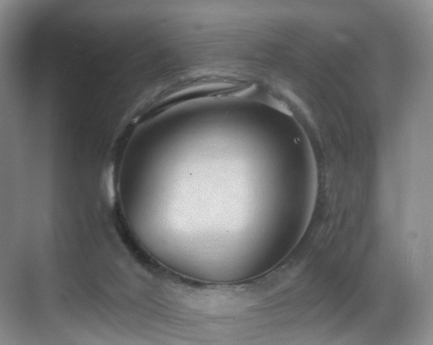 X0000069800020200605191116