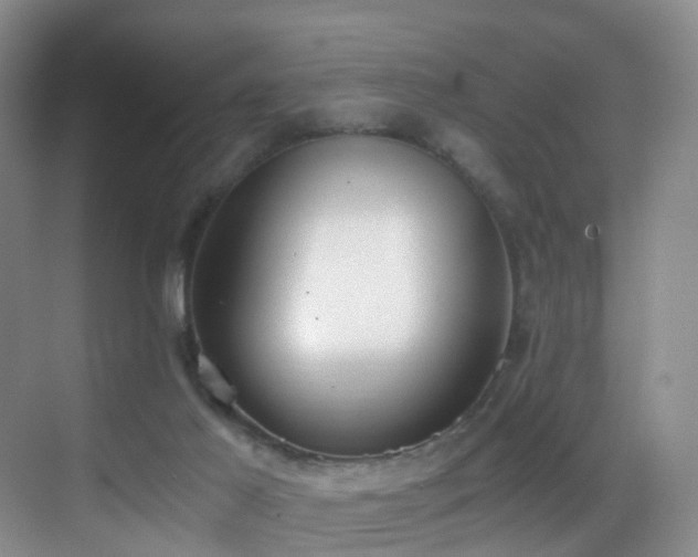 X0000069800021200605191116